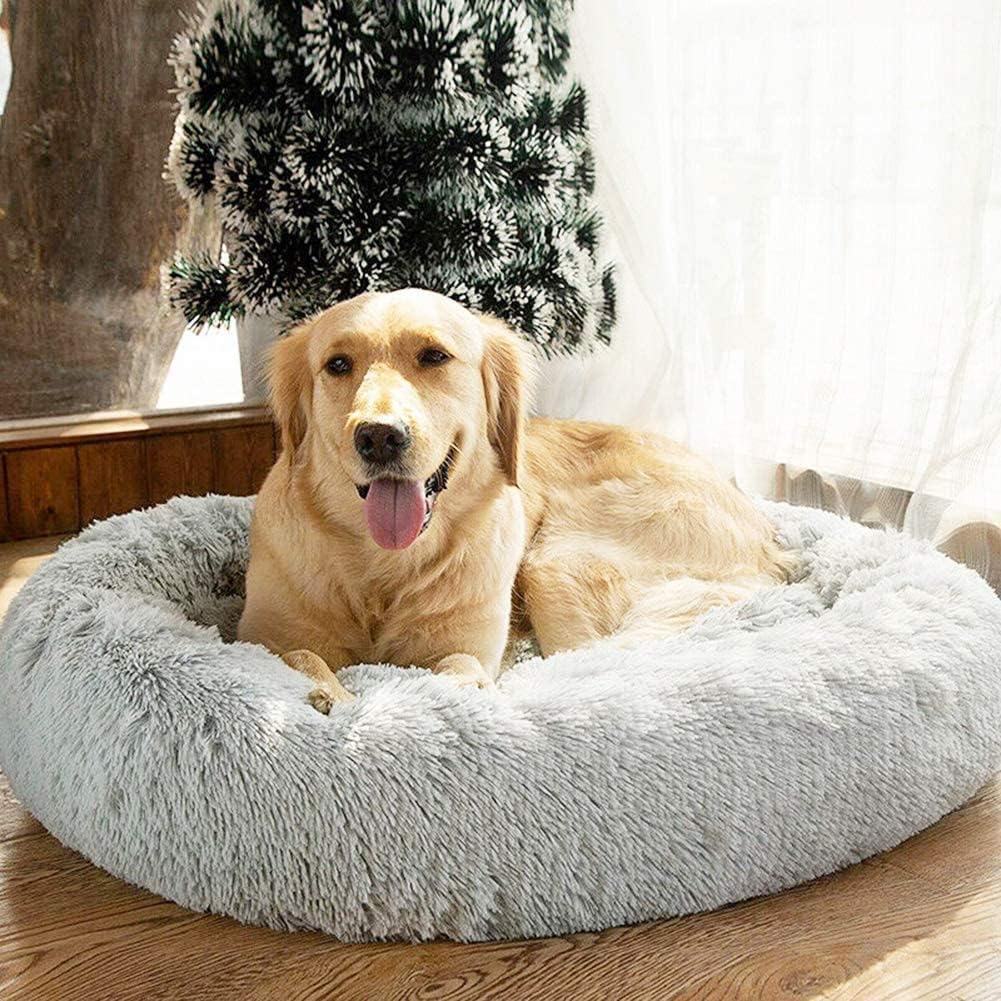 Pet Bed