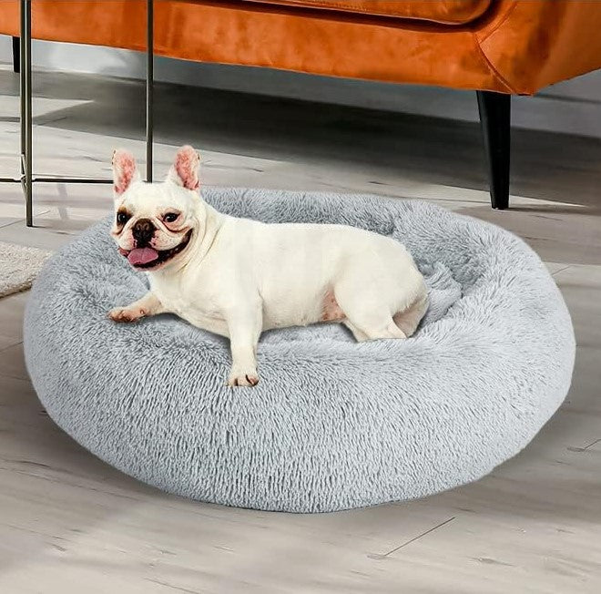 Pet Bed