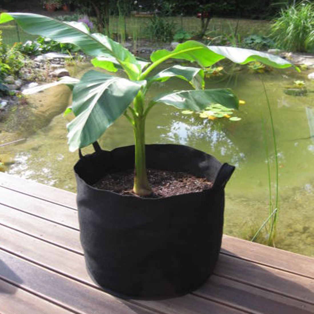 Plant Pots Fabric x5 - Home Insight