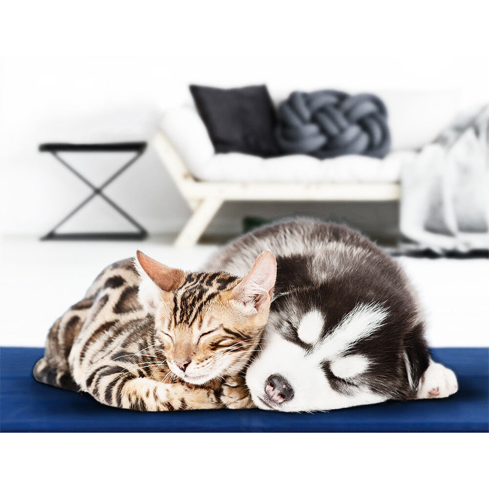 Cool Gel Mat - Home Insight