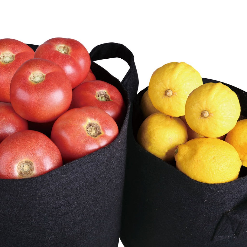 Plant Pots Fabric x5 - Home Insight