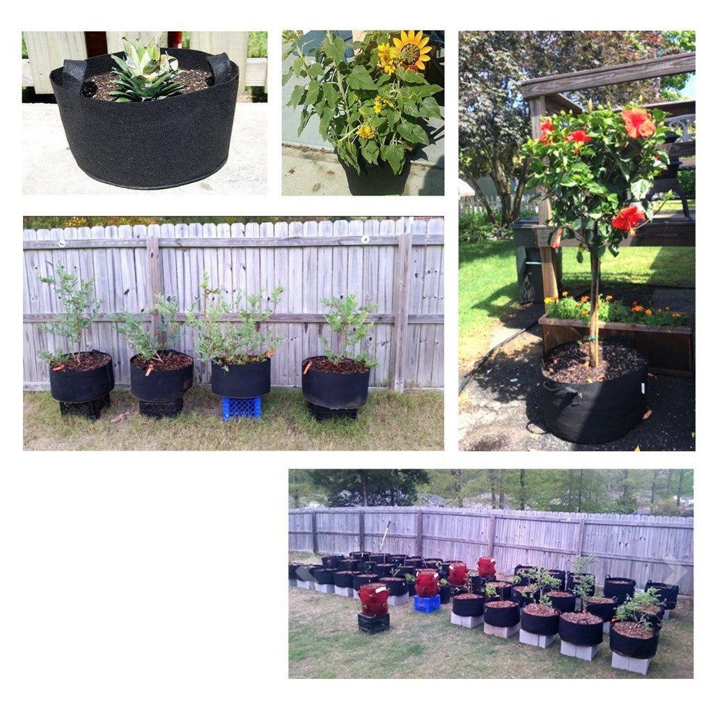 Plant Pots Fabric x5 - Home Insight
