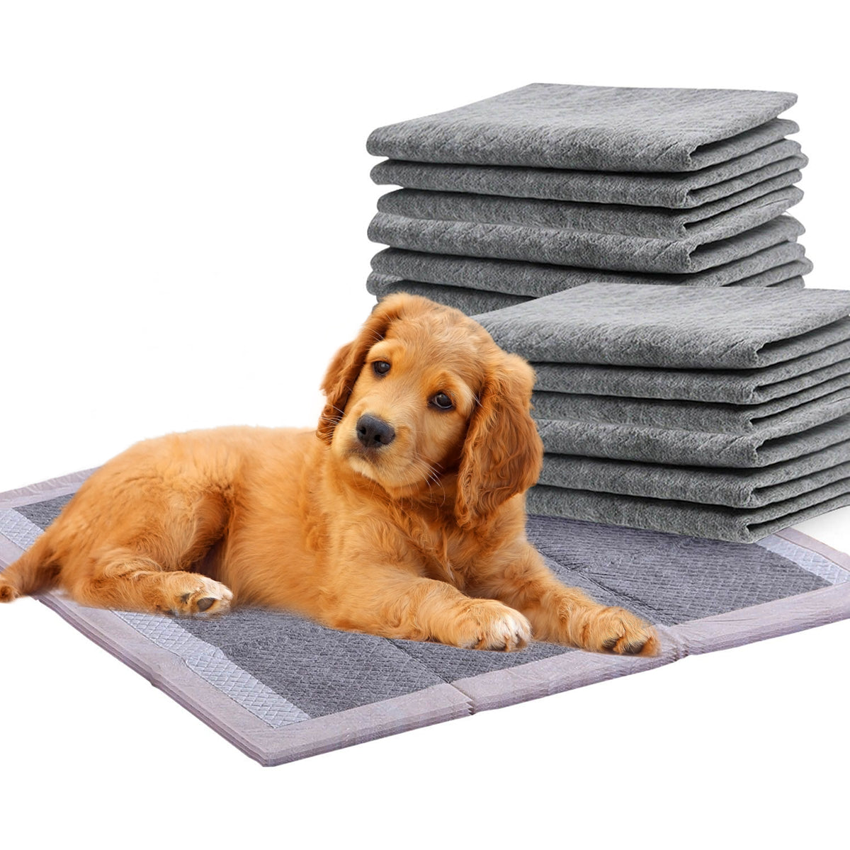 Puppy Absorbent Training Pads - Charcoal