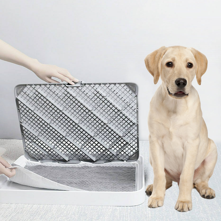 Puppy Absorbent Training Pads - Charcoal