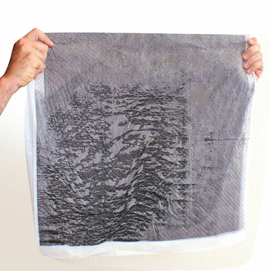 Puppy Absorbent Training Pads - Charcoal