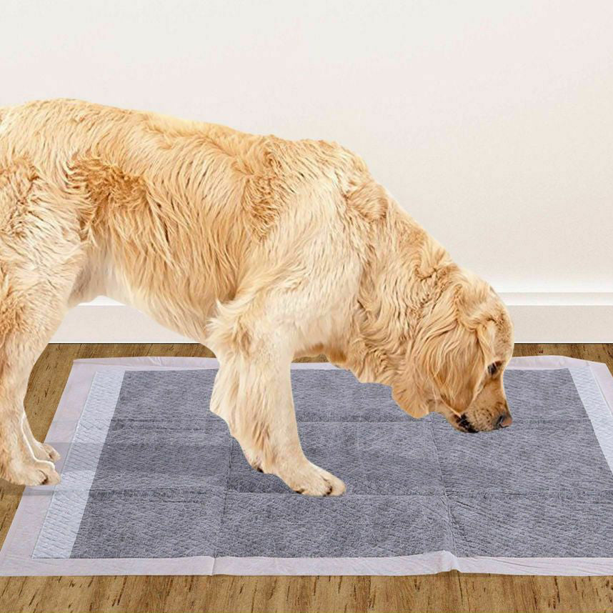 Puppy Absorbent Training Pads - Charcoal