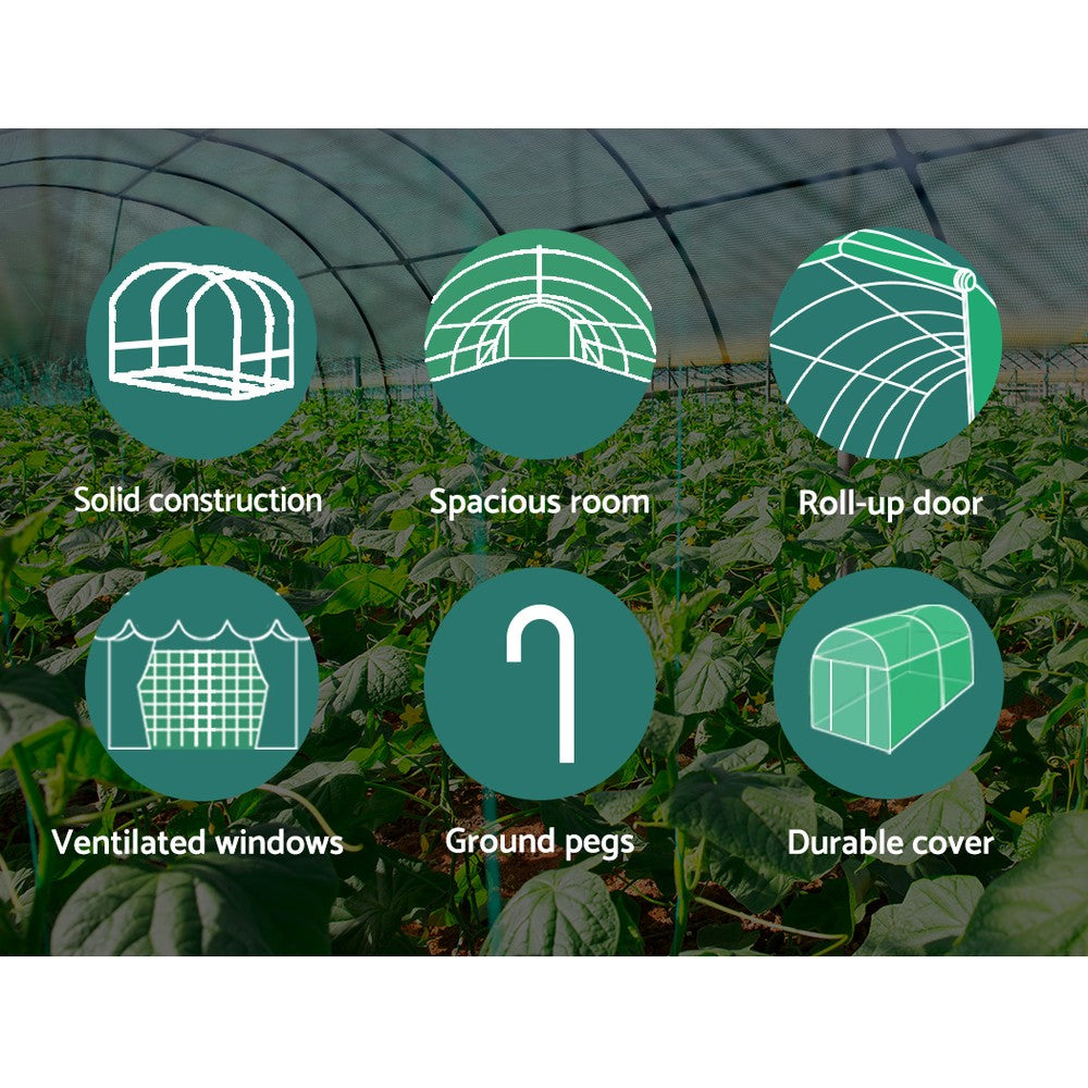 Home Greenhouse