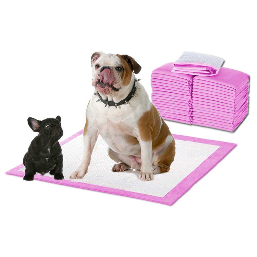 Absorbent puppy pads best sale