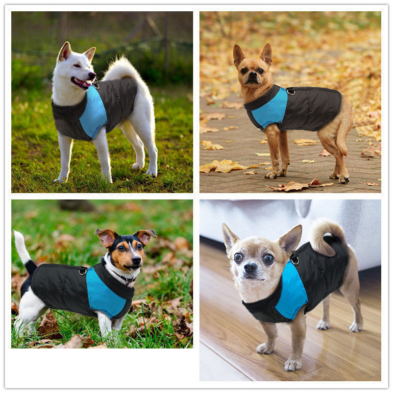 Waterproof Dog Jacket - Home Insight