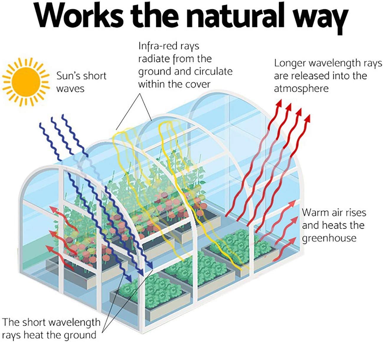 Home Greenhouse
