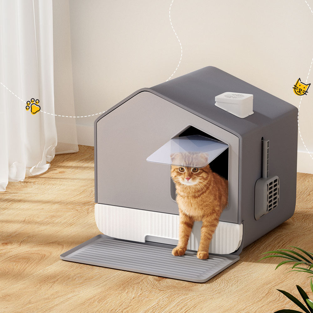 Cat Litter Box