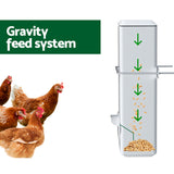 Automatic Chicken Feeder and Water Dispenser