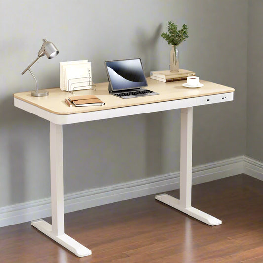 Motorised Standing Desk with Drawer 120CM Oak