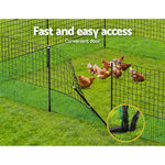 Chicken Fence and Netting