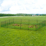 Chicken Fence and Netting