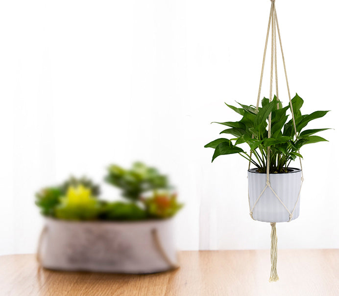 Vintage Plant Hangers x4 - Home Insight