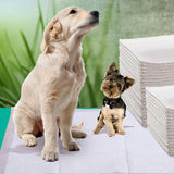 Puppy Absorbent Pads - Home Insight