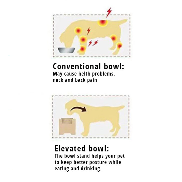 Stainless Steel Bowls with Stand - Home Insight