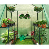 Home Greenhouse