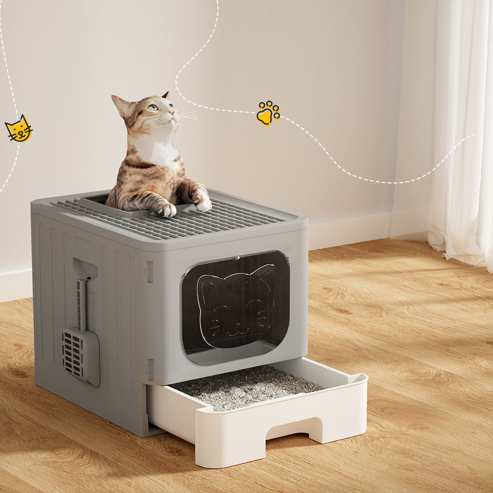 Cat Litter Box