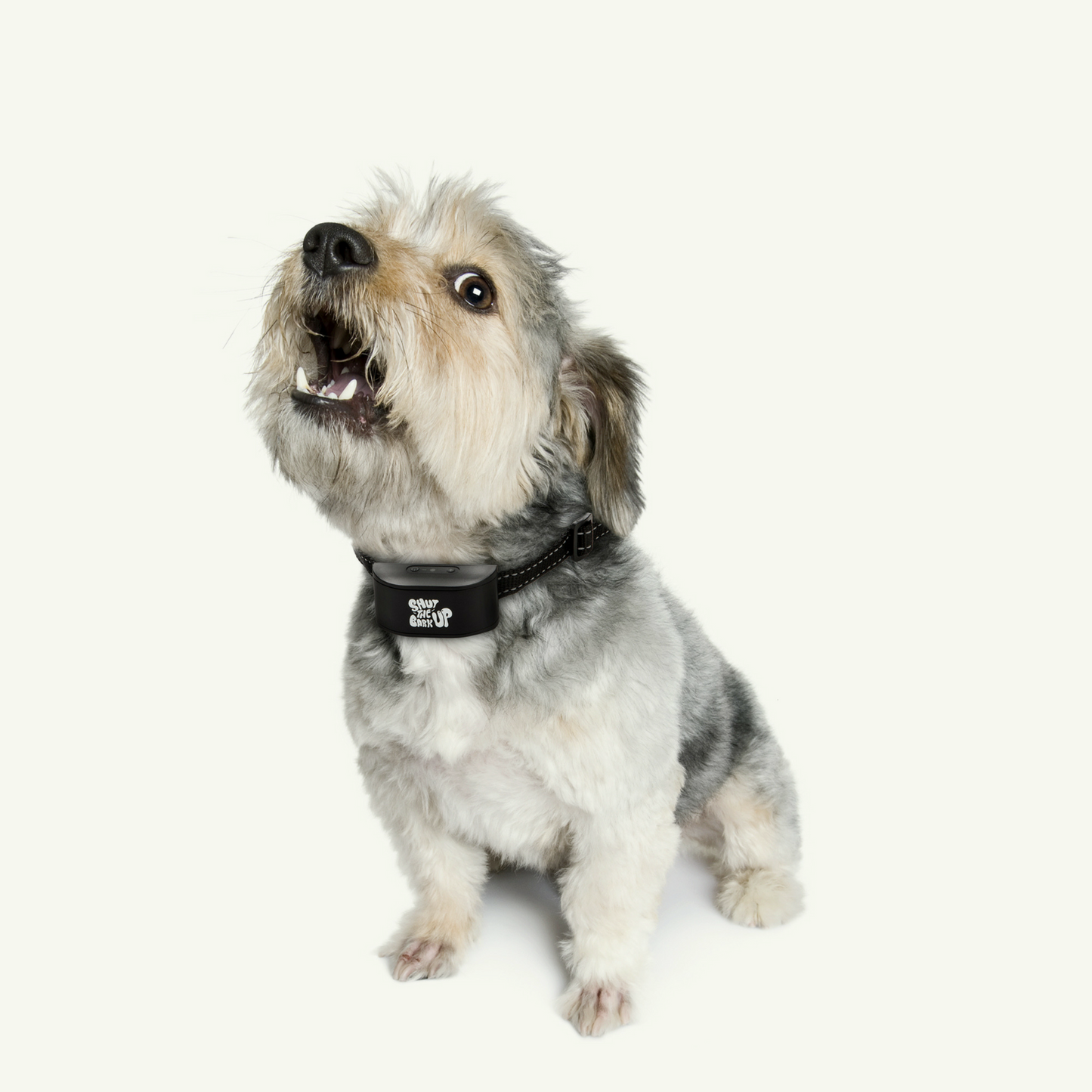 Rechargeable Anti-Bark Collar - Home Insight