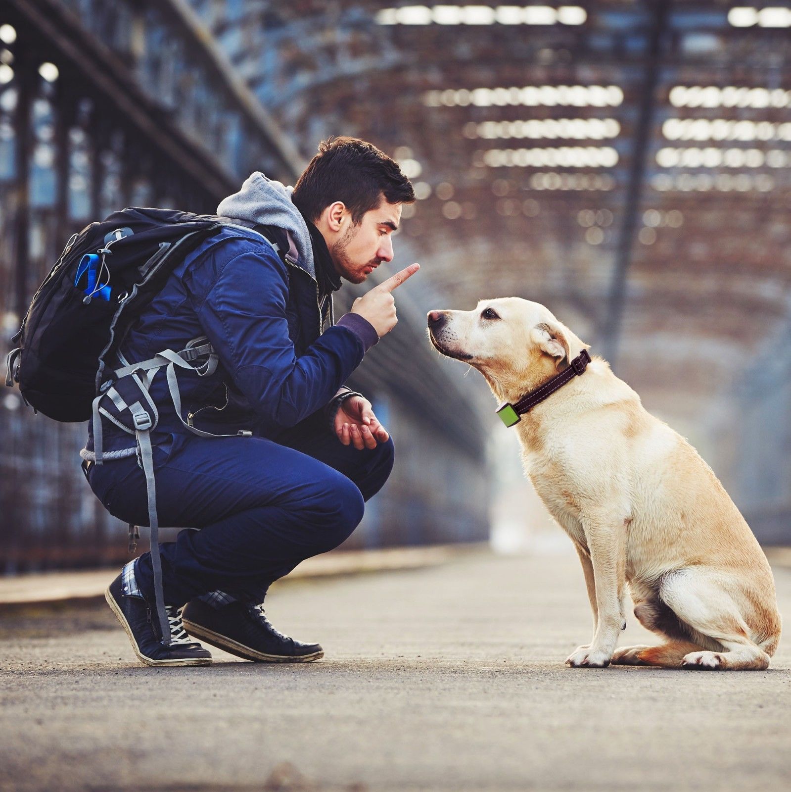 Rechargeable Anti-Bark Collar - Home Insight