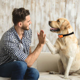 Rechargeable Anti-Bark Collar - Home Insight