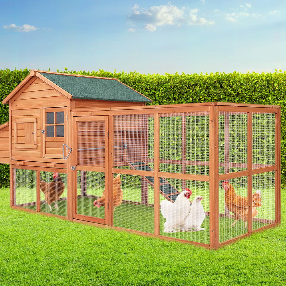 Chicken Coop (258 cm)