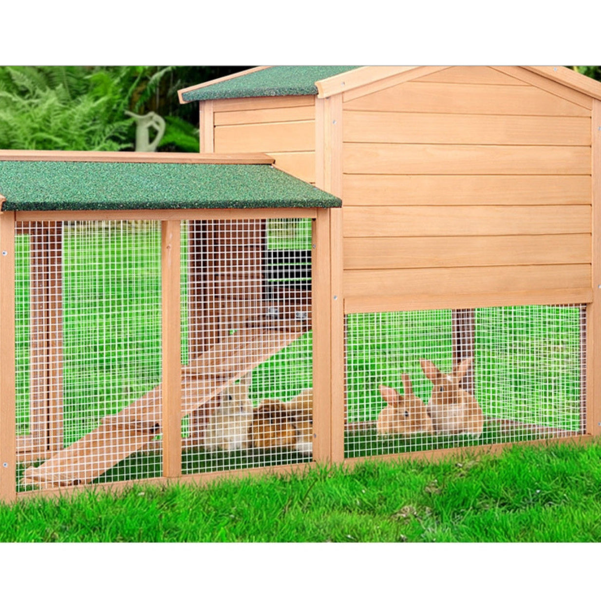 Pet Hutch (138cm)