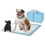 Puppy Absorbent Pads - Home Insight