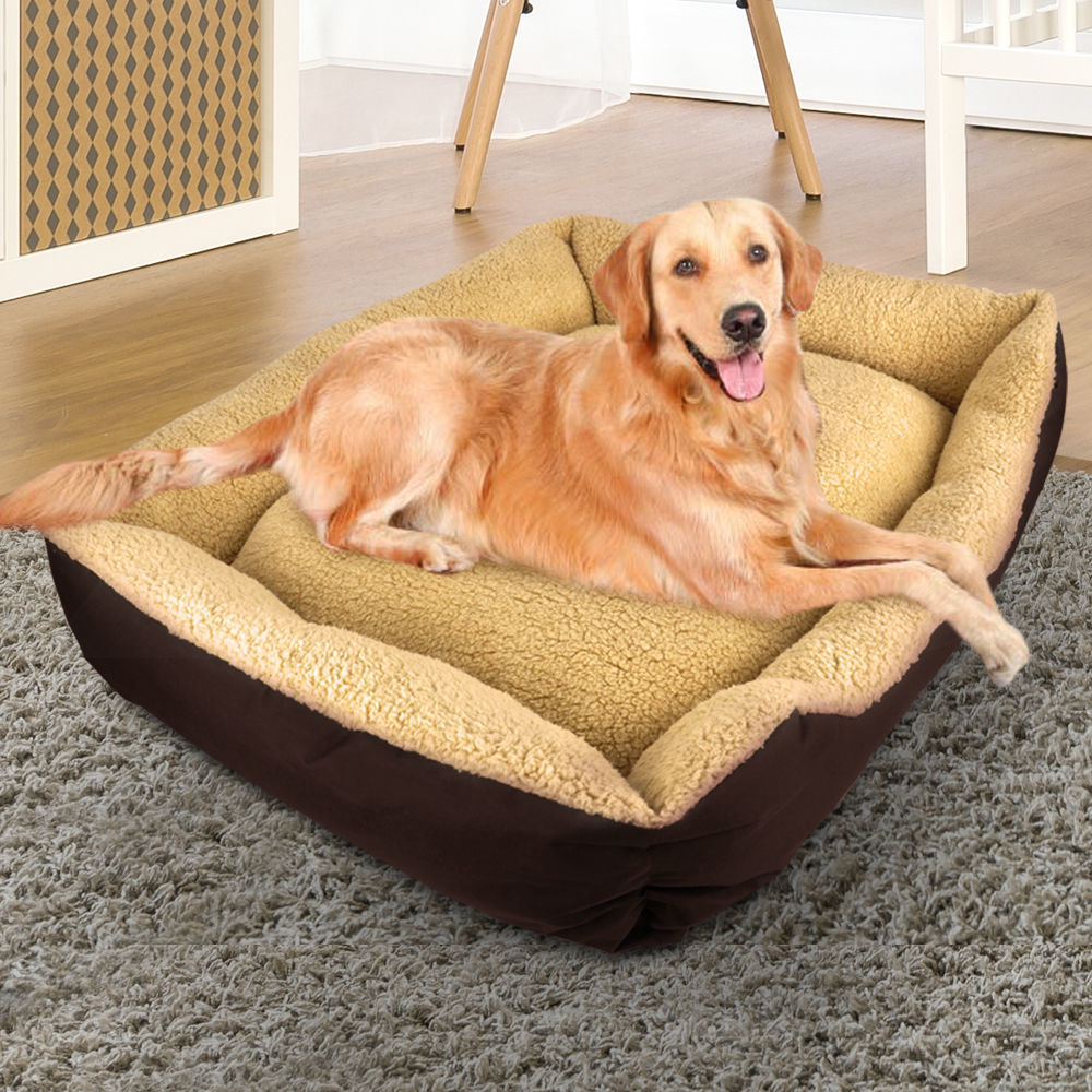 Dog Bed - Home Insight