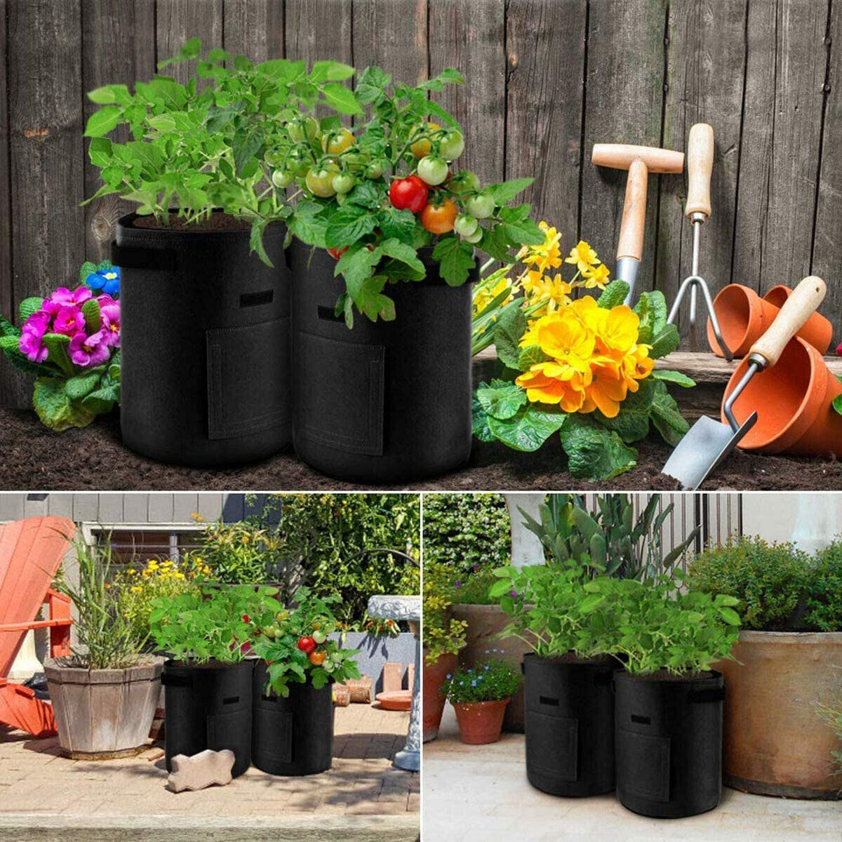 Veggie Plant Pots - Home Insight