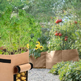 Veggie Plant Pots - Home Insight