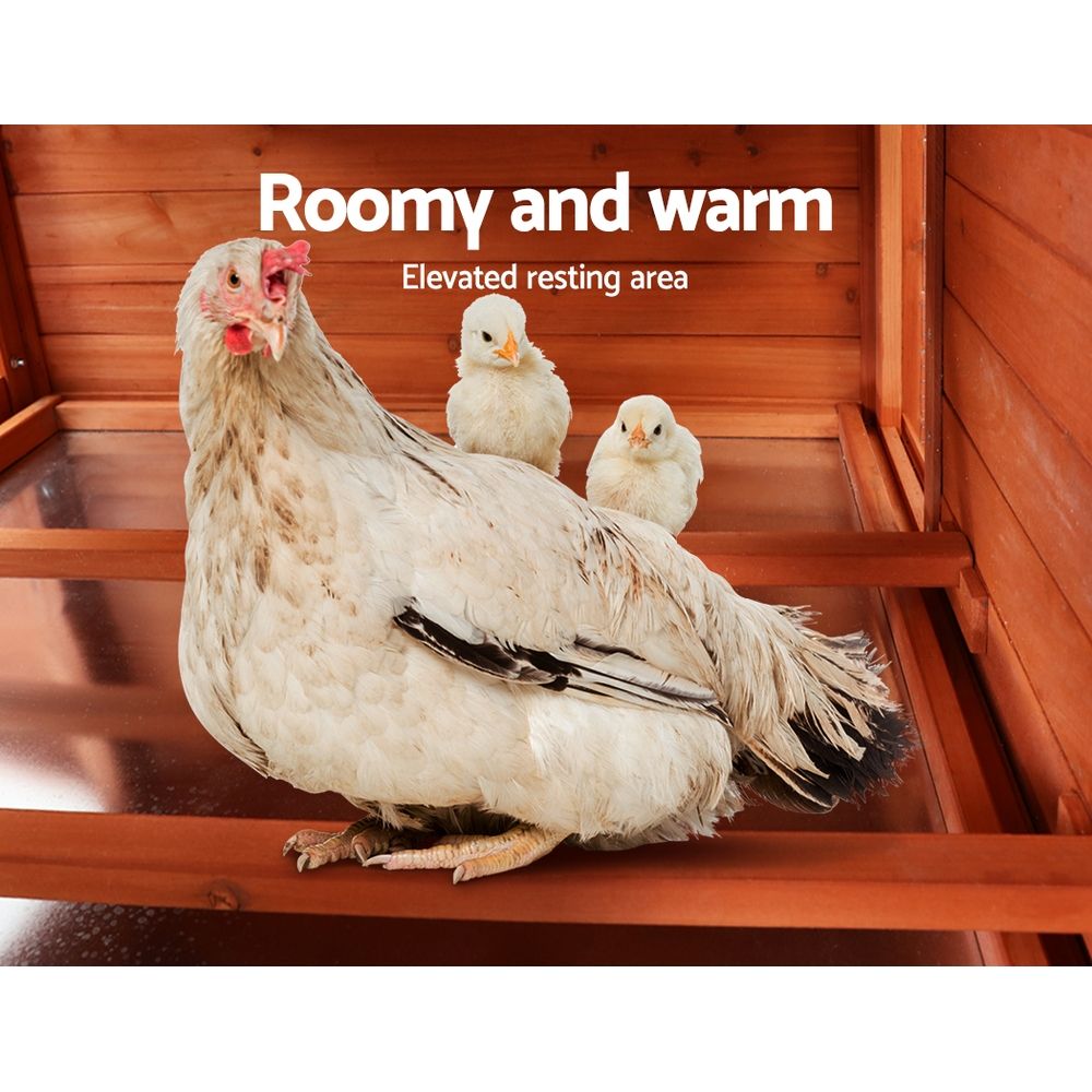 Chicken Coop (258 cm)